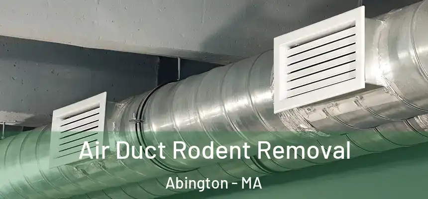  Air Duct Rodent Removal Abington - MA
