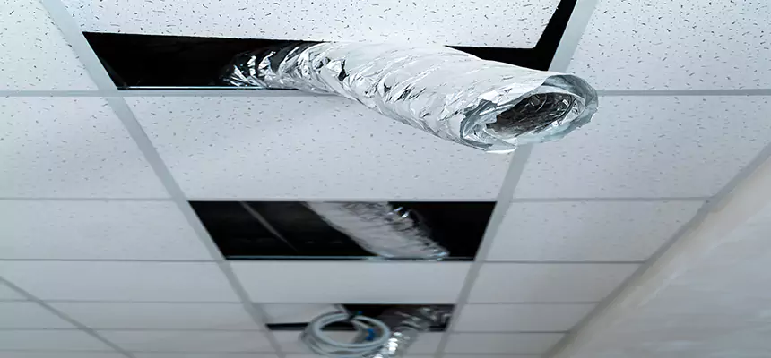 Our Air Duct Pet Hair Removal Services in Abington, MA