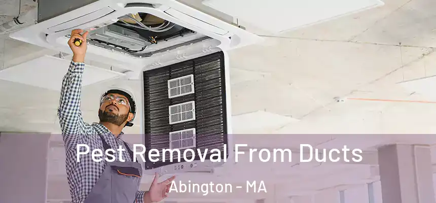  Pest Removal From Ducts Abington - MA