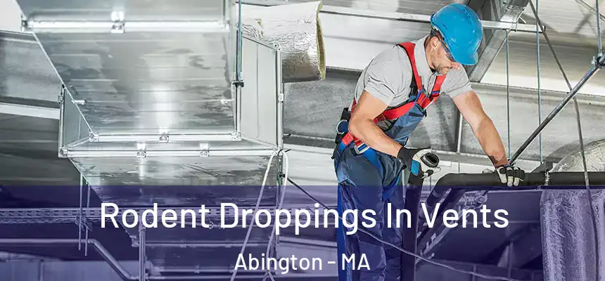  Rodent Droppings In Vents Abington - MA