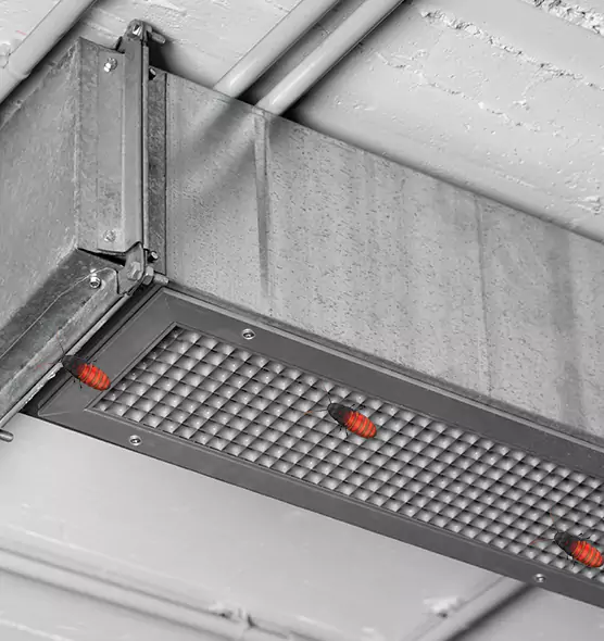 About Air Duct Cockroach Removal in Abington, MA