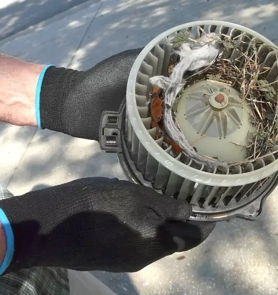 About Air Duct Mice Removal in Abington, MA