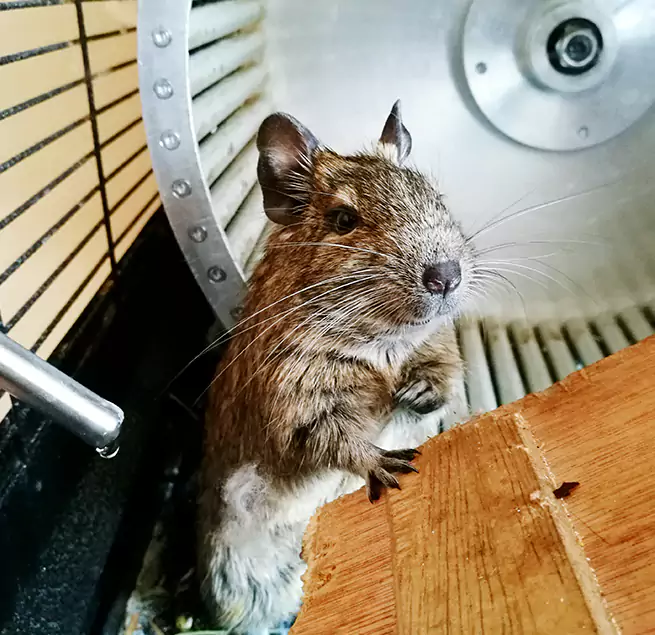 Why Homeowners & Businesses Trust Us Abington, MA?